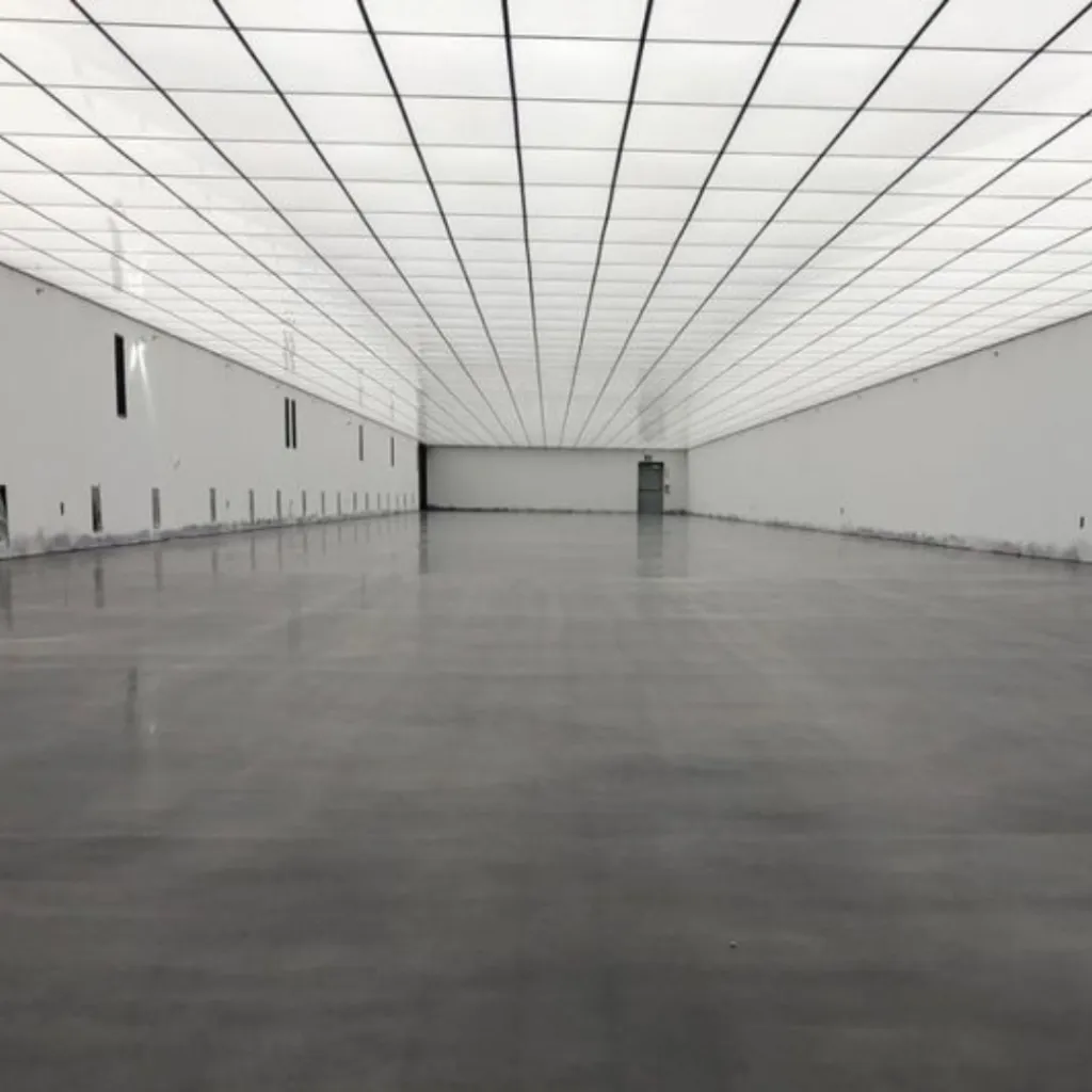 Untitled design (15).webp